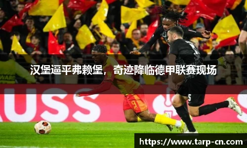 汉堡逼平弗赖堡，奇迹降临德甲联赛现场
