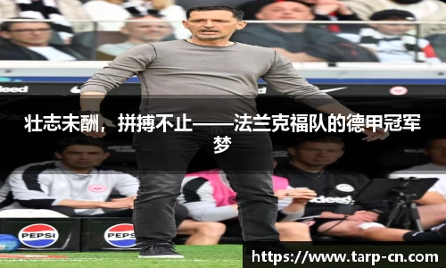 壮志未酬，拼搏不止——法兰克福队的德甲冠军梦