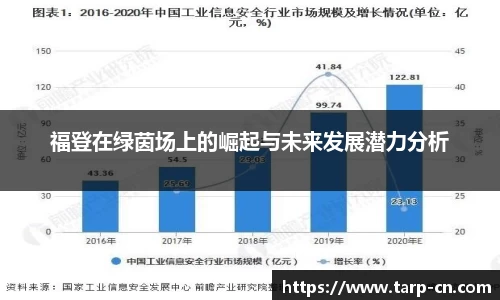 福登在绿茵场上的崛起与未来发展潜力分析